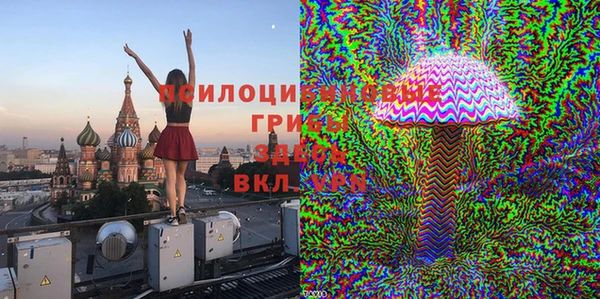 прущие крисы Аркадак