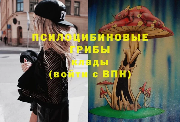 прущие крисы Аркадак
