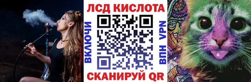 даркнет состав  Курган  Марки NBOMe 1,8мг 
