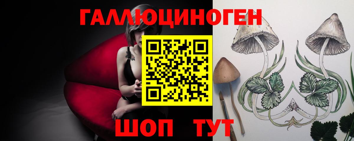 Галлюциногенные грибы Psilocybe Курган